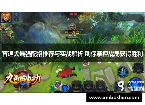 音速犬最强配招推荐与实战解析 助你掌控战局获得胜利
